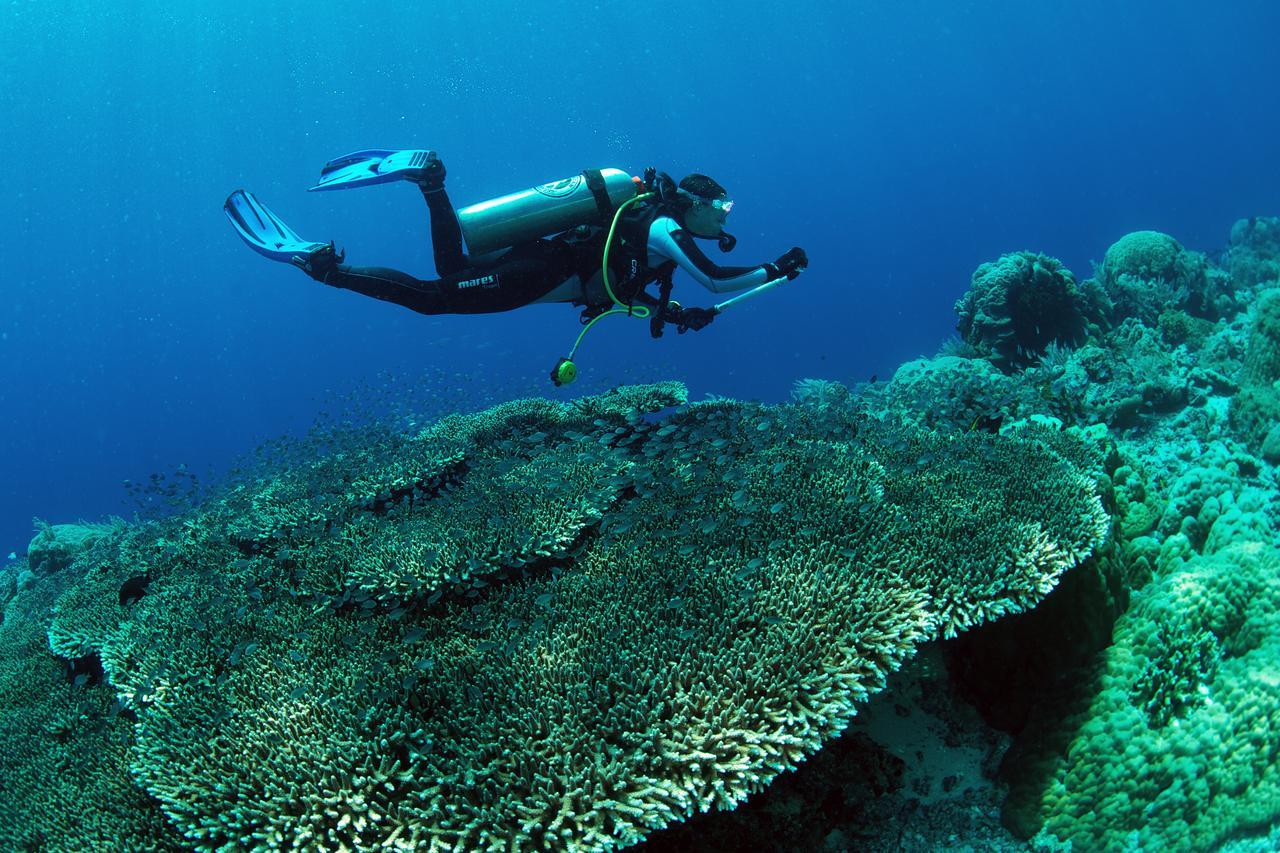 Murex Dive Resort Manado Eksteriør bilde